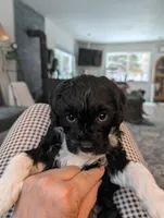 processed/9f7383a2-17e2-48bd-a416-9ae66ad58957/listing/160d89d1-6e94-4b7a-b266-7f468a9c2ede/10a671a8-0db9-44e0-b247-3898b85d6e85