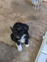 processed/9f7383a2-17e2-48bd-a416-9ae66ad58957/listing/160d89d1-6e94-4b7a-b266-7f468a9c2ede/52249bc9-11f3-4159-ad50-b337db714547