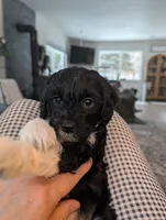 processed/9f7383a2-17e2-48bd-a416-9ae66ad58957/listing/160d89d1-6e94-4b7a-b266-7f468a9c2ede/8ac26fb7-1d27-4ff1-8d9f-b491ad60671b