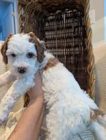 processed/9f7383a2-17e2-48bd-a416-9ae66ad58957/listing/33cd9ec1-f161-4894-b42b-47eec832c544/3d35385a-3326-42cb-ade1-5104a3ed7d87