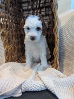 processed/9f7383a2-17e2-48bd-a416-9ae66ad58957/listing/33cd9ec1-f161-4894-b42b-47eec832c544/dc1437ca-7219-43c2-882d-5318526be9e1