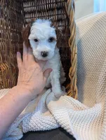 processed/9f7383a2-17e2-48bd-a416-9ae66ad58957/listing/33cd9ec1-f161-4894-b42b-47eec832c544/fb7cf4a4-15d1-4272-84ed-c88e4d267577