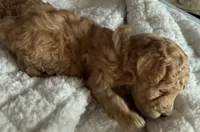 processed/9f799763-36de-40e9-b66d-c473619fe86c/listing/bd9f7eba-7d18-4935-89d1-be4b63e1621c/30252b5d-03e2-403e-b7c2-ead2aeea96fa