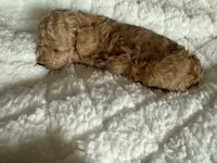 processed/9f799763-36de-40e9-b66d-c473619fe86c/listing/bd9f7eba-7d18-4935-89d1-be4b63e1621c/610f49f6-5b69-4615-a66f-d49864e7cb6f