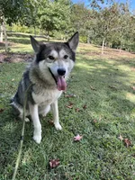 processed/9f8a633e-c471-4ca4-af8d-67d45ffa64ee/listing/a35dfc38-1e85-451a-a70c-a9519aac82bc/1ef233f5-ec18-4fc9-b460-996803cbc81e