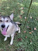 processed/9f8a633e-c471-4ca4-af8d-67d45ffa64ee/listing/a35dfc38-1e85-451a-a70c-a9519aac82bc/20ee8893-4d6c-4c0e-8ef2-7a61722ddca5