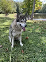 processed/9f8a633e-c471-4ca4-af8d-67d45ffa64ee/listing/a35dfc38-1e85-451a-a70c-a9519aac82bc/2683f2d7-21bb-42f5-862e-913455ef4d3a