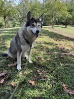 processed/9f8a633e-c471-4ca4-af8d-67d45ffa64ee/listing/a35dfc38-1e85-451a-a70c-a9519aac82bc/2c041d5f-37ef-40fe-9a4b-351b125e555e