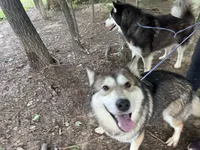 processed/9f8a633e-c471-4ca4-af8d-67d45ffa64ee/listing/a35dfc38-1e85-451a-a70c-a9519aac82bc/9478fe6d-b9c0-4e27-b5f8-1dbcd696e050