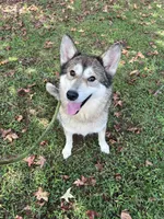 processed/9f8a633e-c471-4ca4-af8d-67d45ffa64ee/listing/a35dfc38-1e85-451a-a70c-a9519aac82bc/a754a551-26f8-4fee-b332-049aa9c1a342