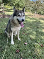 processed/9f8a633e-c471-4ca4-af8d-67d45ffa64ee/listing/a35dfc38-1e85-451a-a70c-a9519aac82bc/a8c5aba4-8473-428a-88a4-e0219b8595f6