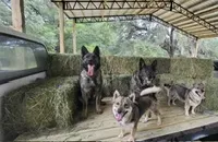 processed/9f95fc72-5b64-406d-b5ee-e8740d394f94/facility/597218fd-7c65-4119-bdc7-dea77b8a254f