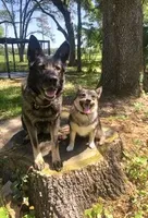 processed/9f95fc72-5b64-406d-b5ee-e8740d394f94/facility/9d036252-5657-446b-86ed-345091ef418b