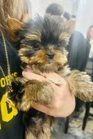 processed/9f976eea-b7b5-4187-a688-412139d24170/listing/2f552ed6-4b20-4bfc-849a-ee863c1624e0/ae344190-4154-4ce7-9b85-4d3fca43f742