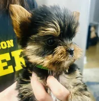 processed/9f976eea-b7b5-4187-a688-412139d24170/listing/2f552ed6-4b20-4bfc-849a-ee863c1624e0/d819914e-567c-4a64-b6db-6b08dcb8afa4