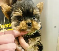 processed/9f976eea-b7b5-4187-a688-412139d24170/listing/2f552ed6-4b20-4bfc-849a-ee863c1624e0/ff197587-a8c6-46d3-95a8-159a16882eb0