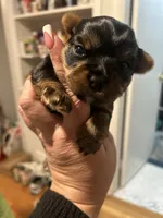 processed/9f976eea-b7b5-4187-a688-412139d24170/listing/89c2b73a-57f4-4c89-b06e-41657eb3297b/06e561a8-5483-4a9c-abdd-a0568b91751b