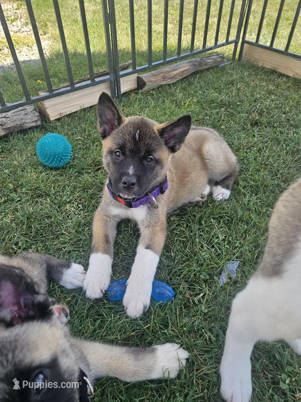 Blue bring her home today!!!