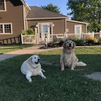 processed/9fa7cb06-7023-4c38-83c5-498420d9fd89/facility/f8bae647-2894-4c2b-9fc9-4ef9d94d0e0f