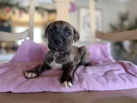 processed/9fa7cb06-7023-4c38-83c5-498420d9fd89/listing/2632b139-f1d7-433d-9655-828f077d1e9b/69497c91-33a3-47b1-9975-f29903cb9e51