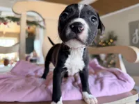 processed/9fa7cb06-7023-4c38-83c5-498420d9fd89/listing/3189aa83-3402-40b7-bd5d-0ef221ead10a/791cb10a-3cb6-4640-859a-e2ce6faca521