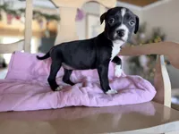 processed/9fa7cb06-7023-4c38-83c5-498420d9fd89/listing/3189aa83-3402-40b7-bd5d-0ef221ead10a/f3a36d39-d04e-489f-aa5d-ac0057291aa3