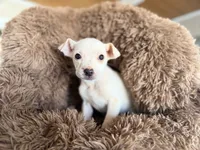 processed/9fa7cb06-7023-4c38-83c5-498420d9fd89/listing/535b9c41-b9c6-4b46-9572-7398f147a068/a3e591e9-cfd7-404b-a878-82cbb5d88f03