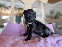 processed/9fa7cb06-7023-4c38-83c5-498420d9fd89/listing/5e5ce327-90a8-427e-8575-37ceb7bcd83a/aa863010-b35c-4b80-8e8a-80cd2993d540