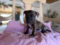 processed/9fa7cb06-7023-4c38-83c5-498420d9fd89/listing/9db4726b-0bac-4434-b397-9e8f5b23ca2d/1eb3f57f-8831-411b-aa08-adf7f0cc7fbe