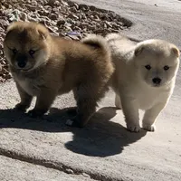 processed/9fa8de89-4738-407b-b3b0-f3ca2f833365/facility/2aec6109-0fb6-47ad-9892-980b6db6e8b8