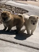 processed/9fa8de89-4738-407b-b3b0-f3ca2f833365/facility/2aec6109-0fb6-47ad-9892-980b6db6e8b8