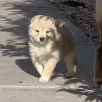 processed/9fa8de89-4738-407b-b3b0-f3ca2f833365/facility/3703b8c0-bb27-46bc-a36c-7c0a76e73ced