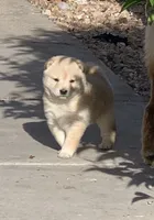 processed/9fa8de89-4738-407b-b3b0-f3ca2f833365/facility/3703b8c0-bb27-46bc-a36c-7c0a76e73ced