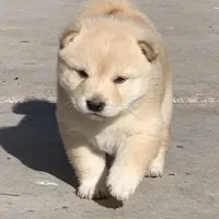 processed/9fa8de89-4738-407b-b3b0-f3ca2f833365/facility/90c01220-07ae-4059-ae63-f43c6416ec6d