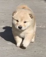 processed/9fa8de89-4738-407b-b3b0-f3ca2f833365/facility/90c01220-07ae-4059-ae63-f43c6416ec6d