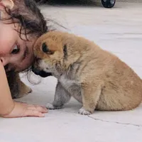 processed/9fa8de89-4738-407b-b3b0-f3ca2f833365/facility/dee3c644-5f10-476f-83ae-a80ba12a3d8e