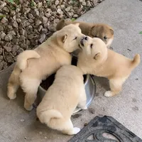 processed/9fa8de89-4738-407b-b3b0-f3ca2f833365/facility/e6dd159d-ca92-4273-b3fb-f1301a745dc3