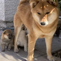 processed/9fa8de89-4738-407b-b3b0-f3ca2f833365/facility/ef4c4872-666f-44cb-ada7-e9969192561d