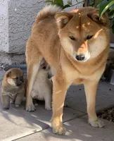 processed/9fa8de89-4738-407b-b3b0-f3ca2f833365/facility/ef4c4872-666f-44cb-ada7-e9969192561d