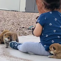 processed/9fa8de89-4738-407b-b3b0-f3ca2f833365/facility/f45c4877-163f-4659-bc1f-d228663e9afd