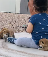 processed/9fa8de89-4738-407b-b3b0-f3ca2f833365/facility/f45c4877-163f-4659-bc1f-d228663e9afd