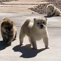 processed/9fa8de89-4738-407b-b3b0-f3ca2f833365/facility/f9b0c344-c9b9-44dd-b3c5-99ec6a56b3e5