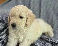 processed/9fb14597-316e-4f0b-ac7a-9b51364ace06/listing/b4958aef-f549-44b4-8cca-7e8b7510fa02/1050a14f-4780-4aa6-9a50-a0e9e5b2bfb8