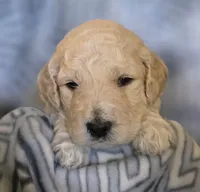 processed/9fb14597-316e-4f0b-ac7a-9b51364ace06/listing/b4958aef-f549-44b4-8cca-7e8b7510fa02/25f74d39-0f83-4e29-b278-ae1b7b03b763