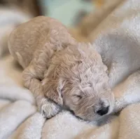 processed/9fb14597-316e-4f0b-ac7a-9b51364ace06/listing/b4958aef-f549-44b4-8cca-7e8b7510fa02/8ed02b26-1124-4605-ba60-cf29739e03c3