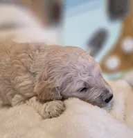 processed/9fb14597-316e-4f0b-ac7a-9b51364ace06/listing/b4958aef-f549-44b4-8cca-7e8b7510fa02/c58ad721-1424-4395-b7e6-2bf7a340912a