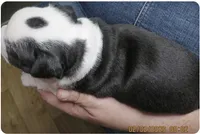 processed/9fcb1704-5ce3-444f-91d4-d5d4959be2e8/listing/110be8f5-d4ff-4b84-9030-190876e457a2/d7722453-6b2e-4716-babe-7a7323ecd8a6