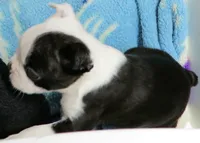 processed/9fcb1704-5ce3-444f-91d4-d5d4959be2e8/listing/25f08956-e8d2-442d-8423-8059c04204de/29bcbb1f-b45d-4b46-b052-1ae3d6d7d67b