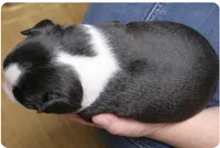 processed/9fcb1704-5ce3-444f-91d4-d5d4959be2e8/listing/2b5fb3ce-6d4f-43ed-bd68-93a218abee13/2e8737b5-21d0-431a-add3-42b2d04205f8