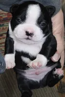 processed/9fcb1704-5ce3-444f-91d4-d5d4959be2e8/listing/2b5fb3ce-6d4f-43ed-bd68-93a218abee13/a541d05b-6a56-491d-b78b-cc786d66d0f5